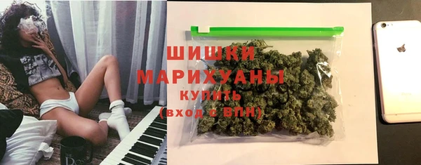 трава Карпинск