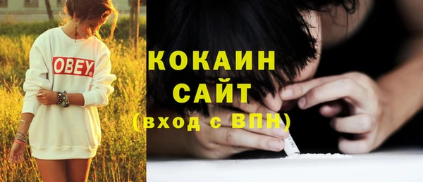 трава Карпинск