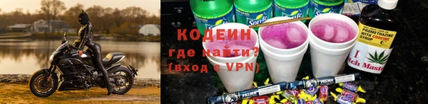 трава Карпинск