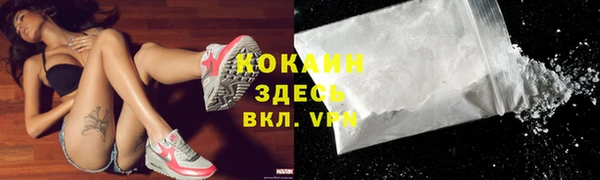 трава Карпинск