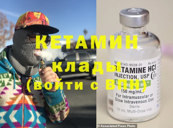 трава Карпинск