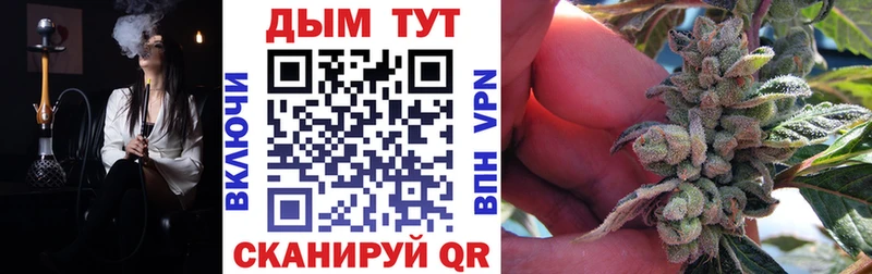 Купить где  Бугуруслан  Канабис ГИДРОПОН 